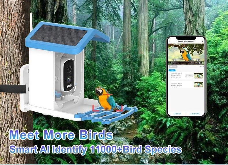 Smart Bird Feeder with Camera Solar Powered Waterproof for Garden Bird Watching Camera